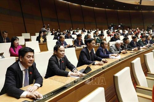 Triển khai các mục tiêu, nhiệm vụ bằng giải pháp căn cơ, đồng bộ