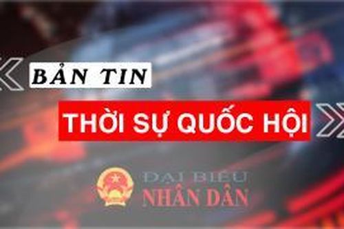 Bản tin Thời sự Quốc hội ngày 9.1.2023