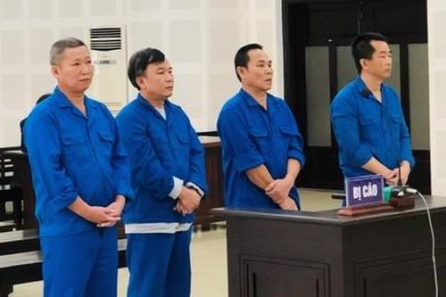 Nhóm chủ tàu cá lừa đảo, trục lợi từ chính sách hỗ trợ ngư dân