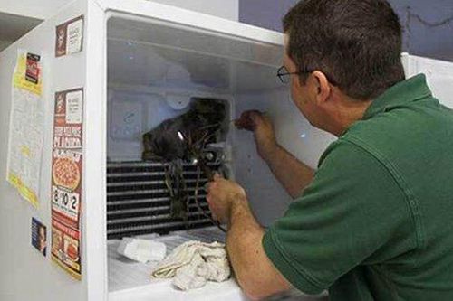 Những lưu ý khi vệ sinh tủ lạnh đón Tết vừa an toàn, vừa tiết kiệm