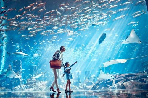 Bên trong thủy cung lớn nhất Trung Đông