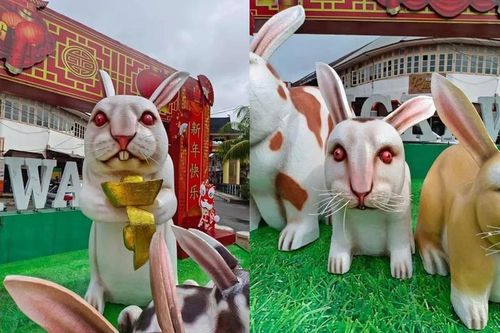 Hết hồn hình ảnh linh vật chào năm mới ở Indonesia