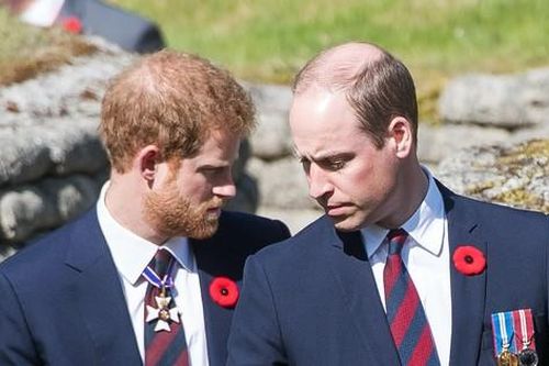 Hoàng tử William suy sụp vì cáo buộc đánh Harry