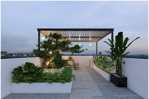 Choáng ngợp trước nhà ống diện tích nhỏ, vườn cảnh bonsai đẹp hút hồn