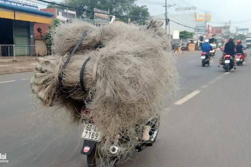 Chở miến như chở rơm