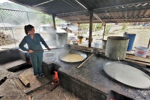 Làng mật mía truyền thống ở Hà Tĩnh 'cháy hàng' dịp Tết