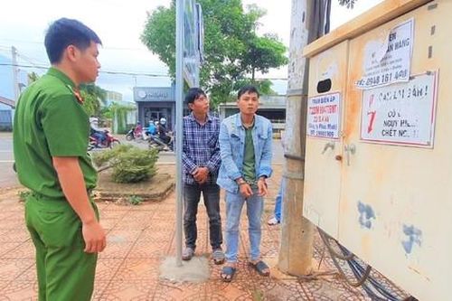 Hai đối tượng gây ra hơn 50 vụ cắt trộm dây điện liên tỉnh