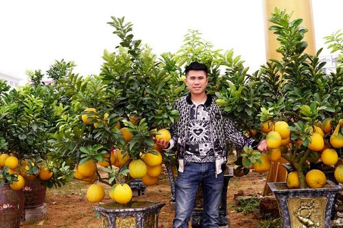 Bưởi Diễn Hoàng Quân sẵn sàng phục vụ người dân vui Tết