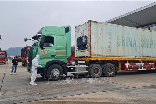 Xuất nhập khẩu qua cửa khẩu Lào Cai có nhiều tín hiệu tích cực