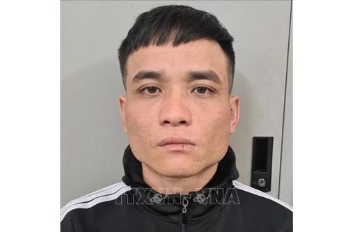 Hà Nội: Liên tiếp bắt giữ các đối tượng trộm, cướp tài sản