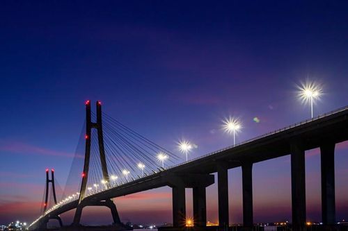 TP.HCM đề xuất xây cầu Phú Mỹ 2 và Đồng Nai 2