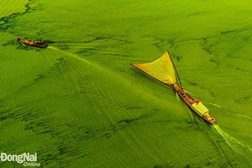 'Mê mẩn' với bộ ảnh 'Bến Nôm mùa nước cạn'