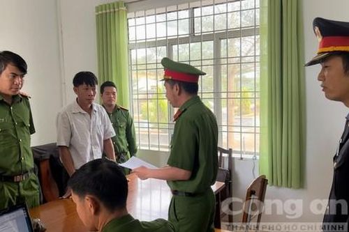 Bắt giam đối tượng tấn công người tố giác phá rừng thông ở Lâm Đồng