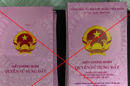 Việc làm thiếu ý thức