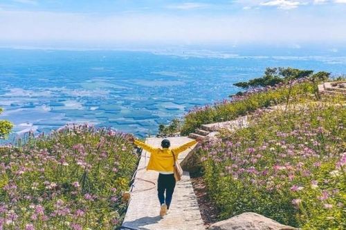 'Du lịch trốn Tết' và những tranh cãi không hồi kết