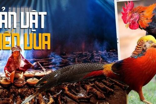 Thực phẩm tiến vua được lùng làm quà Tết: Gà Hồ, cá Anh Vũ, sá sùng,...