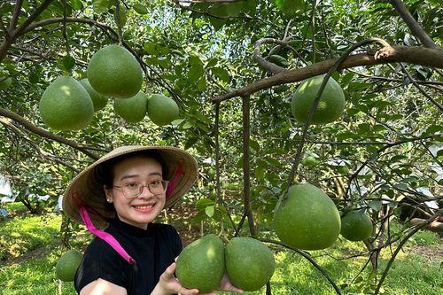 Đặc sản Đồng Nai vào mùa Tết