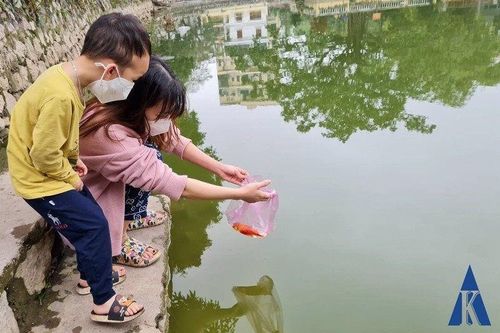 Thú vị khoảnh khắc người dân 'chào' cá khi phóng sinh