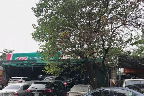 Người dùng tấp nập đưa ô tô đi bảo dưỡng dịp cận Tết