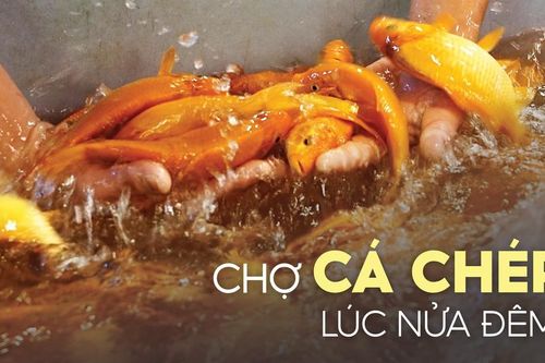 Chợ cá chép lúc nửa đêm