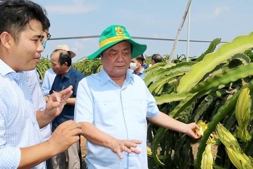 Chúng ta cần nông nghiệp tuần hoàn!