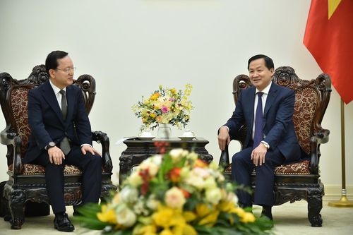 Việt Nam sẽ tạo điều kiện thuận lợi cho các nhà đầu tư nước ngoài phát triển