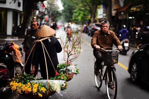 Những chiếc xe hoa chở mùa xuân trên phố Hà Nội ngày giáp Tết