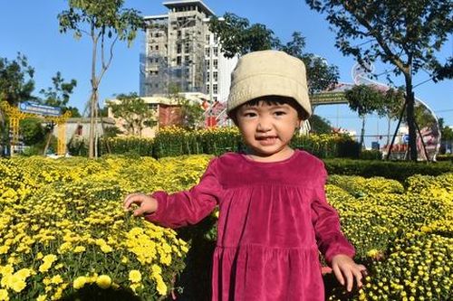 TP Đồng Hới, Quảng Bình rực màu cây cảnh, hoa chào đón Tết
