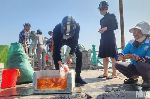 Những tổ tình nguyện đặc biệt ngày thả cá tiễn ông Công, ông Táo