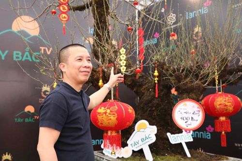 Đào rừng Lai Châu 100 năm tuổi về Hà Nội giá hơn 368 triệu