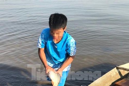 Hà Nội: Cúng ông Táo, 9 con cá chép vừa thả xuống sông bị thả lưới bắt lại 8 con