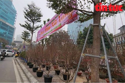 Nhếch nhác phố kiểu mẫu biến thành chợ