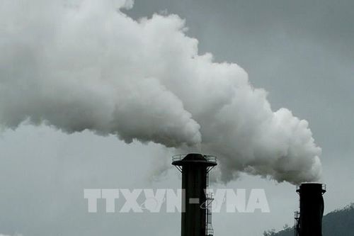 Chủ tịch COP28 khuyến nghị về giảm khí thải