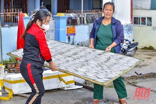 Những ngày cuối năm nơi cửa biển xứ Thanh