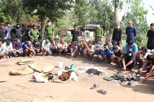 36 đối tượng tụ tập đá gà trong 'ngày ông Táo'