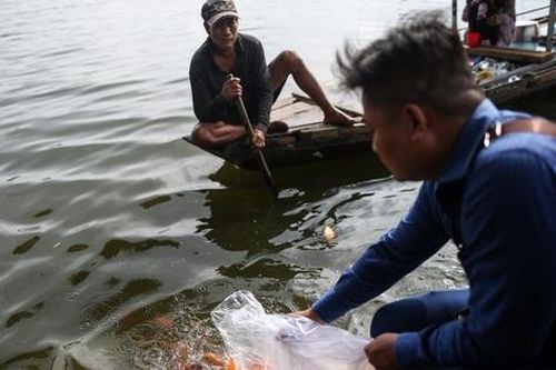 Cá chép chưa kịp tiễn ông Táo 'lên trời' đã bị chích điện
