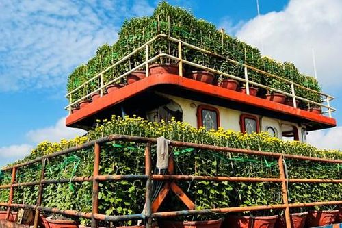 Hàng trăm tấn hàng hóa ra đảo Lý Sơn phục vụ Tết Nguyên đán mỗi ngày
