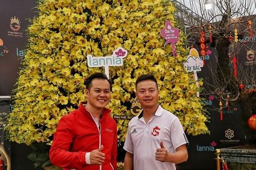 Hà Nội: Chậu lan hồ điệp khổng lồ 'hét' giá 1,6 tỷ đồng