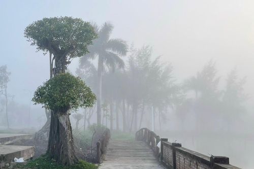 Sương mù dày đặc ở nhiều tỉnh miền Tây