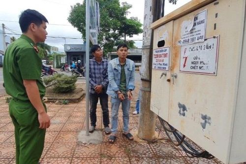 Chặn đứng hành vi của 2 'đạo chích' chuyên trộm cắp vật tư lưới điện