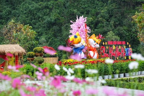 Vườn hoa Xuân rực rỡ dưới chân núi Ngũ Hành Sơn