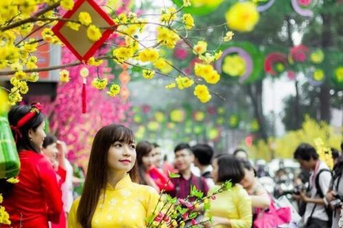 Dịp Tết, nhiều hành vi 'quá đà' cần lưu ý để không bị xử phạt