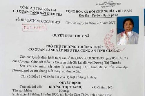 Vay 19 tỉ đồng rồi bỏ trốn, cụ bà 73 tuổi bị truy nã đặc biệt