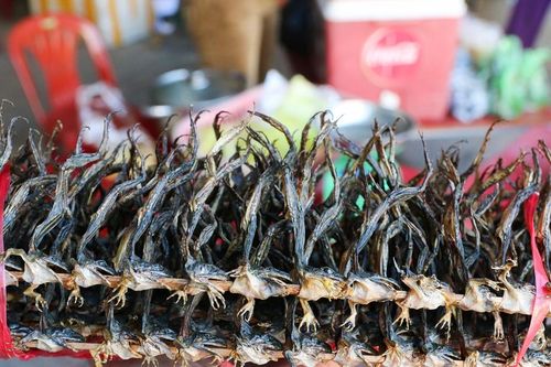 Đi chợ phiên Tam Thái, mua đặc sản vùng cao dịp Tết