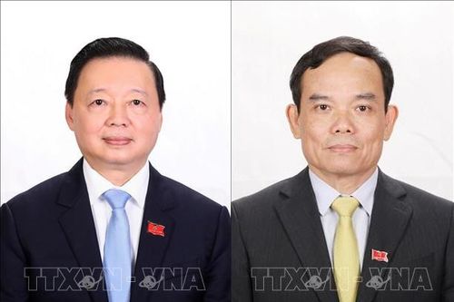 Phân công nhiệm vụ đối với các Phó Thủ tướng Chính phủ