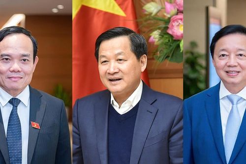 Chính phủ phân công nhiệm vụ cho các Phó Thủ tướng