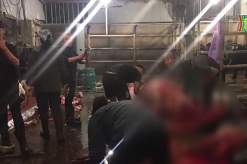 Kiên quyết làm rõ vi phạm vệ sinh ATTP