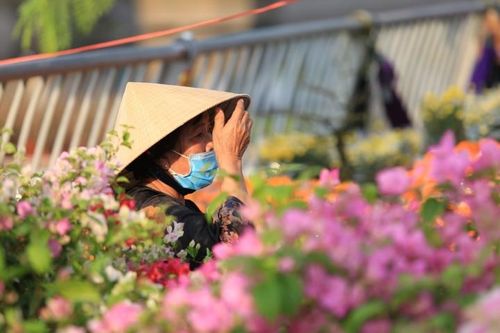 Chợ hoa 'Trên bến dưới thuyền' ở TP.HCM rộn ràng sắc xuân