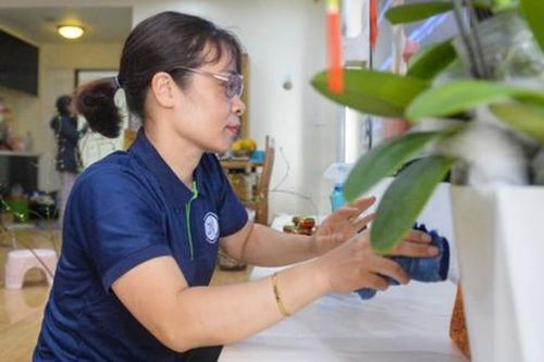 Người giúp việc gia đình 'chạy sô' dịp cận Tết, kiếm tiền triệu mỗi ngày