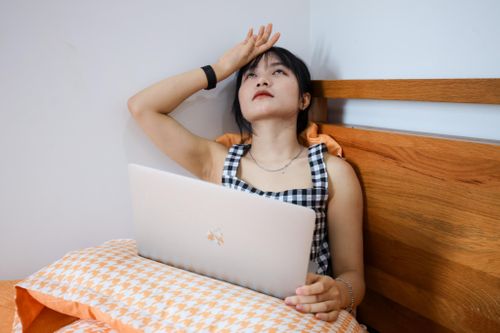 Vừa lo chạy deadline, vừa phải dọn nhà đón Tết